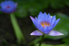 岳麓區(qū)制作網(wǎng)站基本步驟有哪些